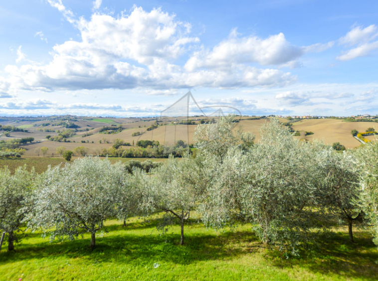 Farmhouse Jesi Marche Italy