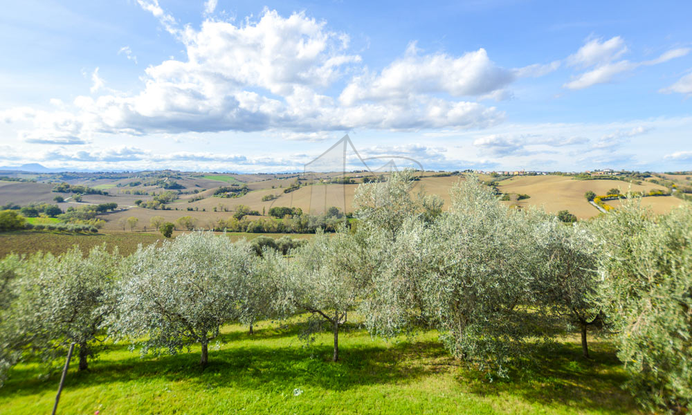 Farmhouse Jesi Marche Italy