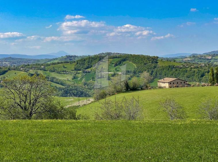 Farmhouse Amandola Marche Italy Pool