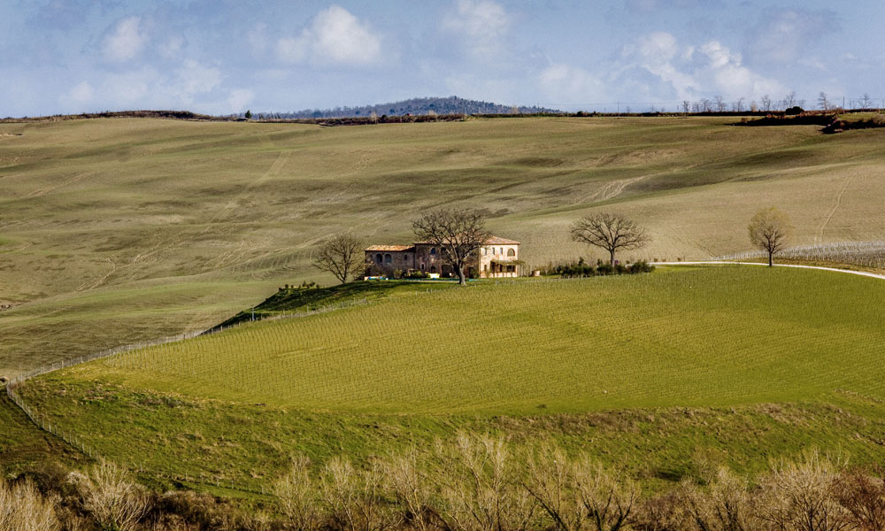 Wine Estate Vineyard Tuscany Italy