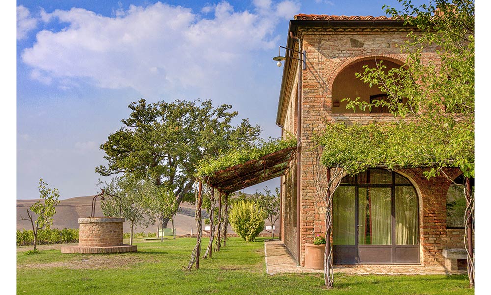 Wine Estate Vineyard Tuscany Italy