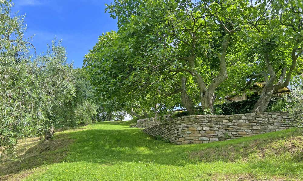 Country House Macerata Feltria Urbino Marche Italy