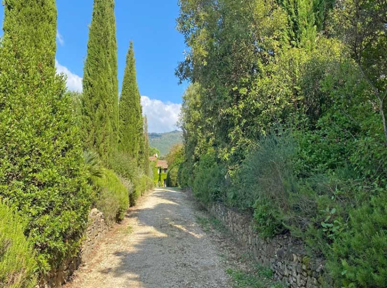 Farmhouse Vitiano Arezzo Tuscany Italy