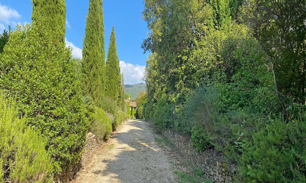 Farmhouse Vitiano Arezzo Tuscany Italy