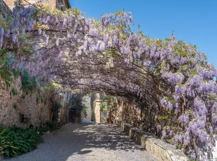 Apartment Castiglion Fiorentino Arezzo Tuscany Italy