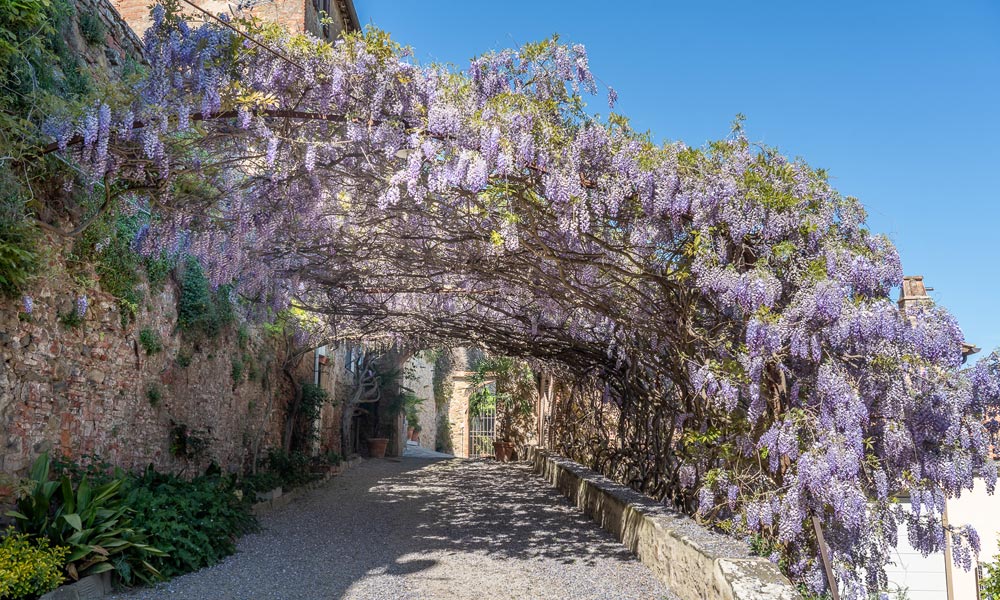 Apartment Castiglion Fiorentino Arezzo Tuscany Italy