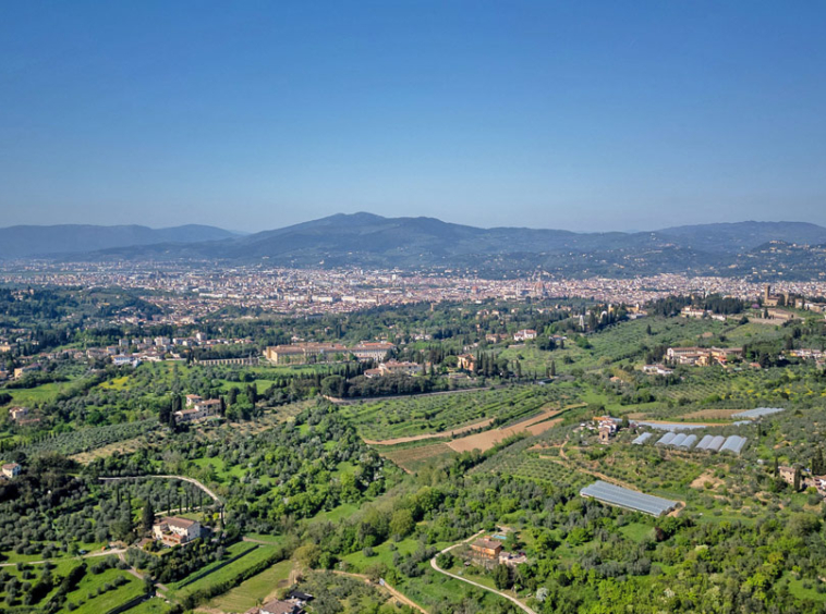 Farmhouse Florence Tuscany Italy Olive Grove