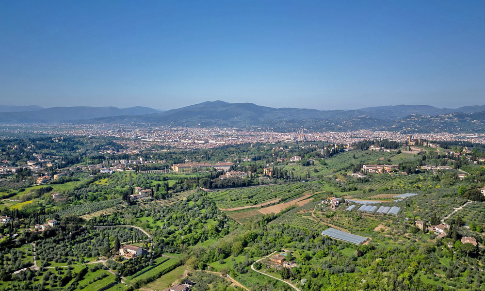 Farmhouse Florence Tuscany Italy Olive Grove