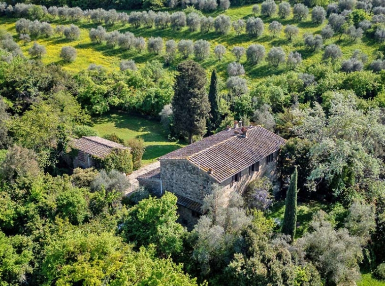 Farmhouse Florence Tuscany Italy Olive Grove