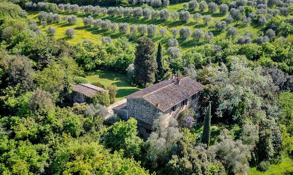 Farmhouse Florence Tuscany Italy Olive Grove