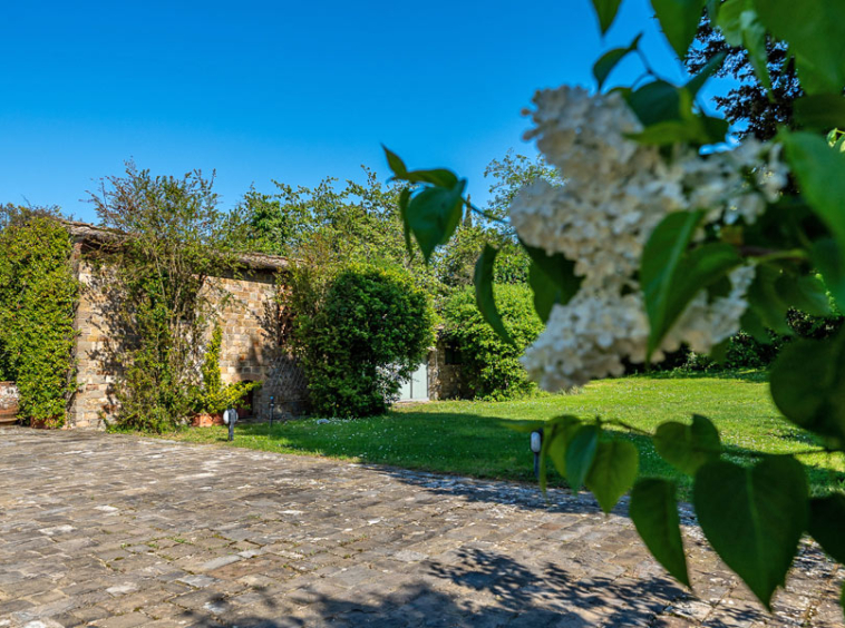 Farmhouse Florence Tuscany Italy Olive Grove