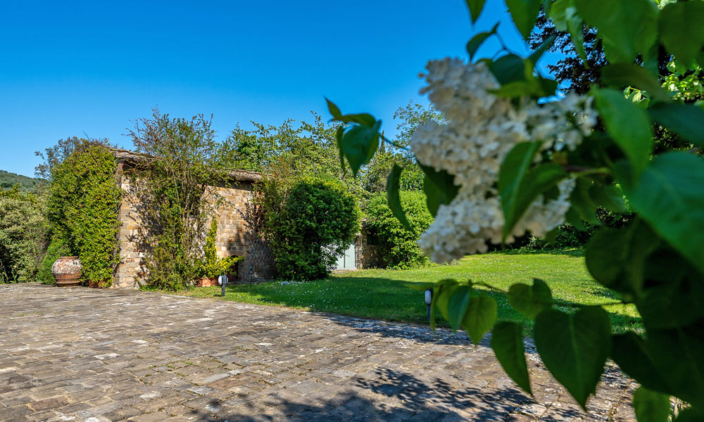 Farmhouse Florence Tuscany Italy Olive Grove