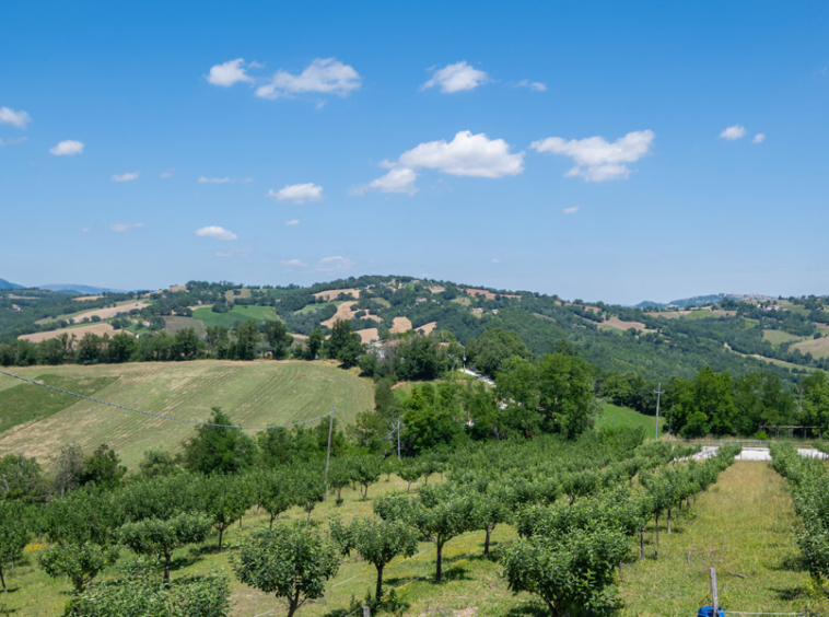 Agriturismo SPA Sarnano Macerata Marche Italy