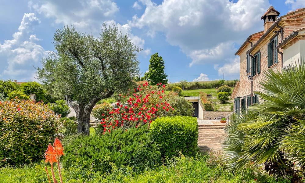 Farmhouse Arcevia Marche Italy Luxury Pool