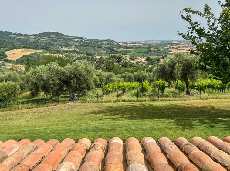 Farmhouse Cartoceto Pesaro Marche Italy