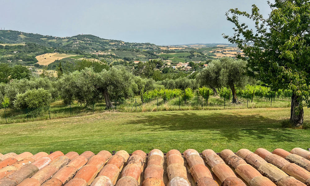 Farmhouse Cartoceto Pesaro Marche Italy