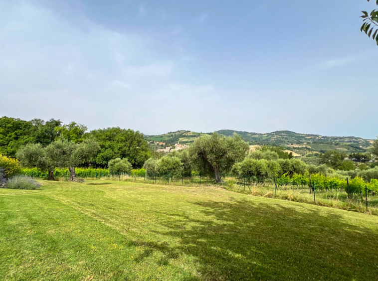 Farmhouse Cartoceto Pesaro Marche Italy