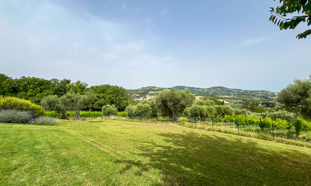 Farmhouse Cartoceto Pesaro Marche Italy