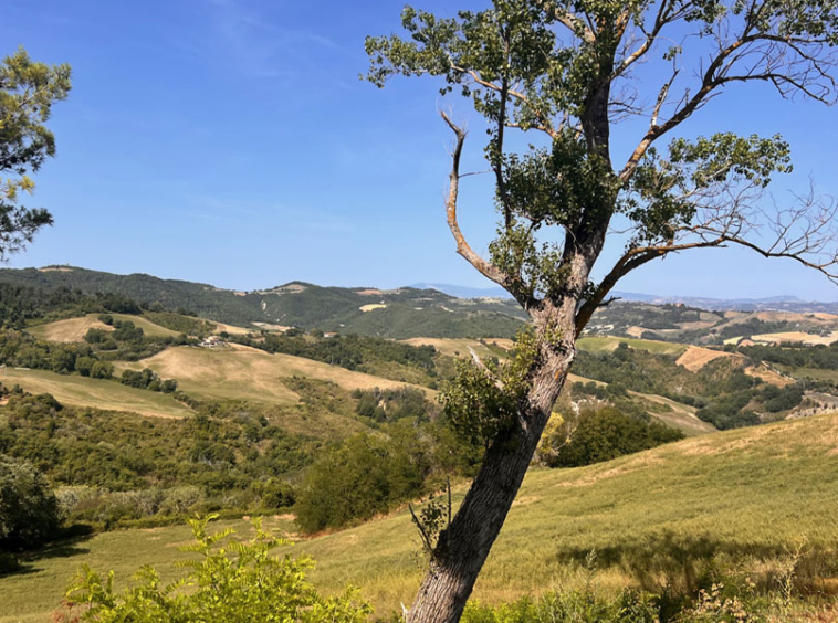 Farmhouse Mombaroccio Pesaro Marche Italy Pool Panorama