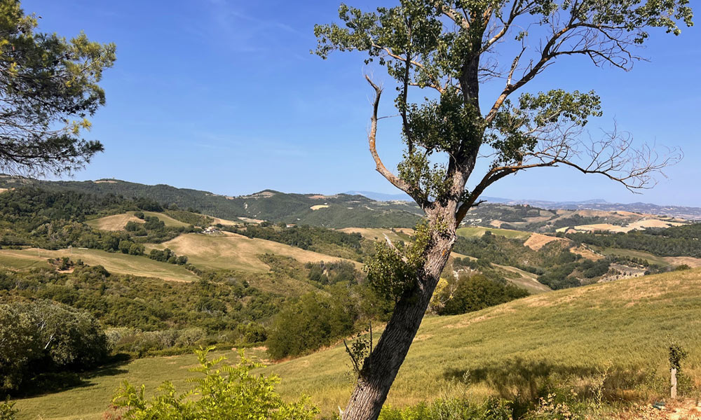 Farmhouse Mombaroccio Pesaro Marche Italy Pool Panorama