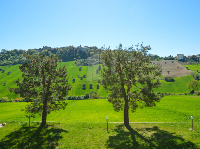 Farmhouse Lapedona Fermo Marche Italy Pool