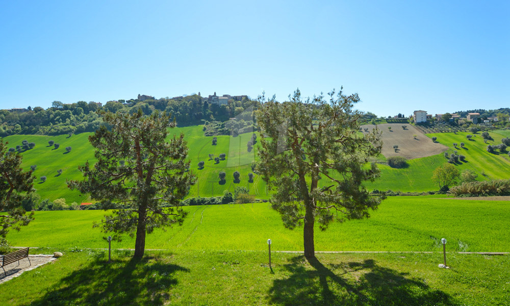 Farmhouse Lapedona Fermo Marche Italy Pool