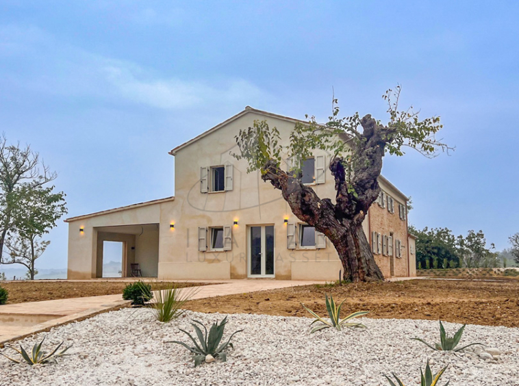 Farmhouse Orciano Pesaro Marche Italy Pool