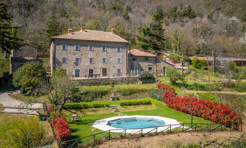 Estate Cortona Tuscany Italy Vineyards