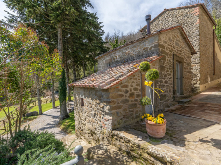 Estate Cortona Tuscany Italy Vineyards