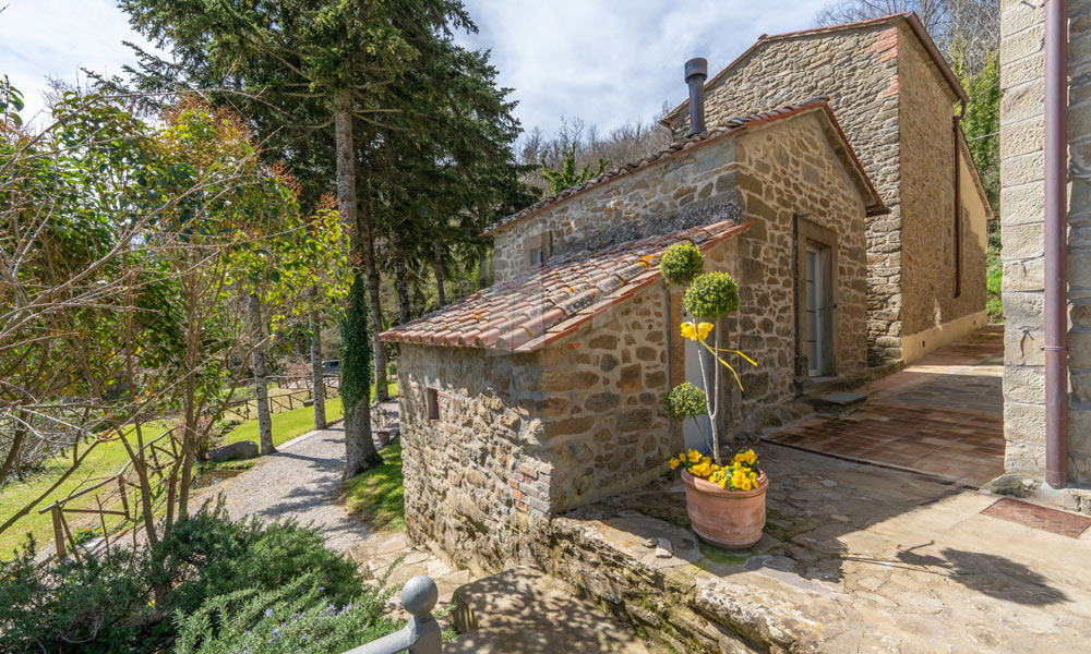 Estate Cortona Tuscany Italy Vineyards