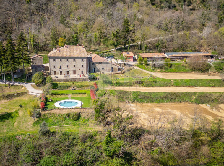 Estate Cortona Tuscany Italy Vineyards