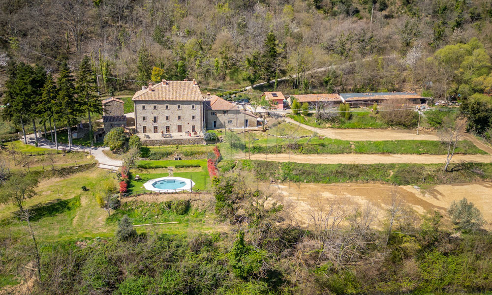 Estate Cortona Tuscany Italy Vineyards