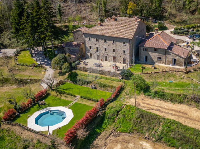 Estate Cortona Tuscany Italy Vineyards