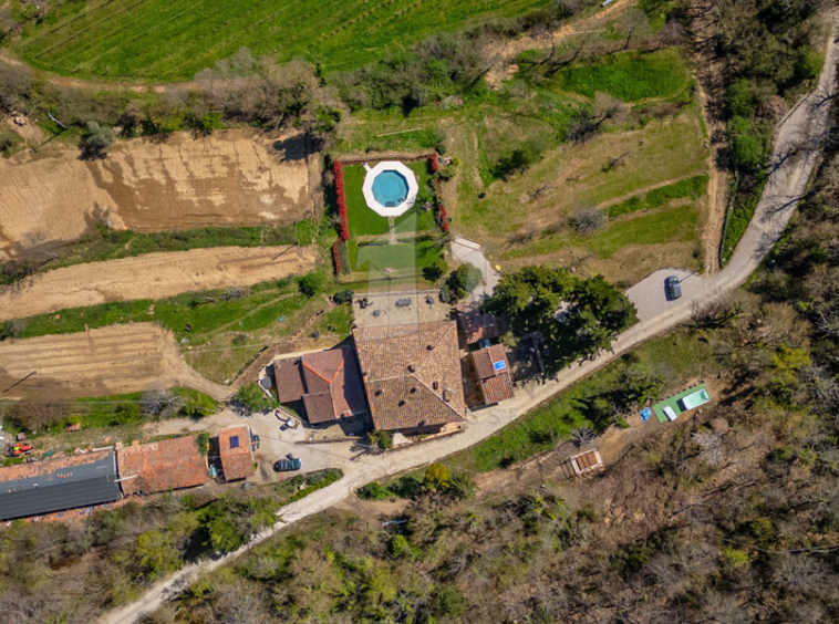 Estate Cortona Tuscany Italy Vineyards