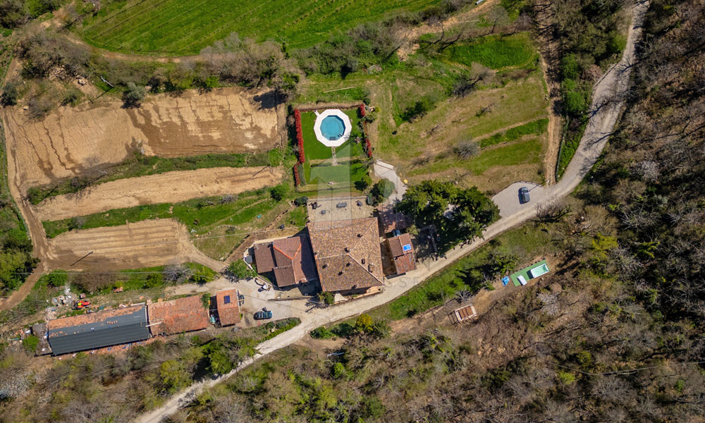 Estate Cortona Tuscany Italy Vineyards