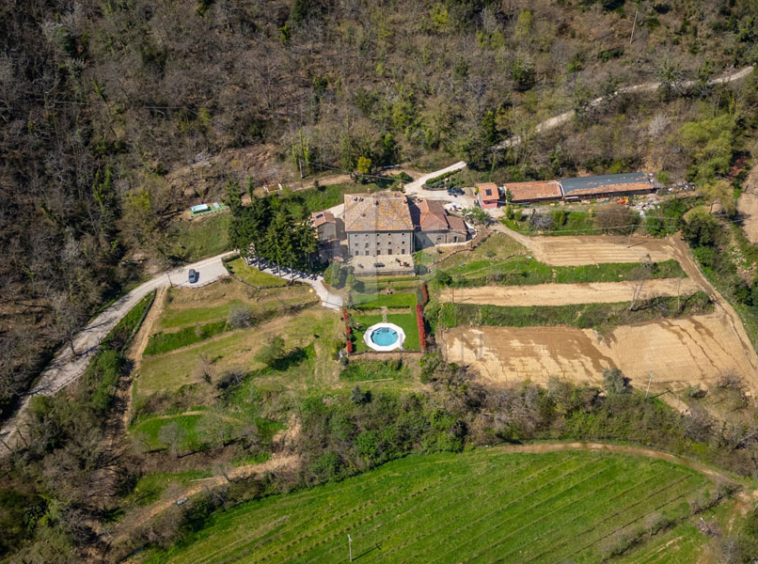 Estate Cortona Tuscany Italy Vineyards