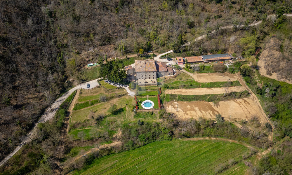 Estate Cortona Tuscany Italy Vineyards