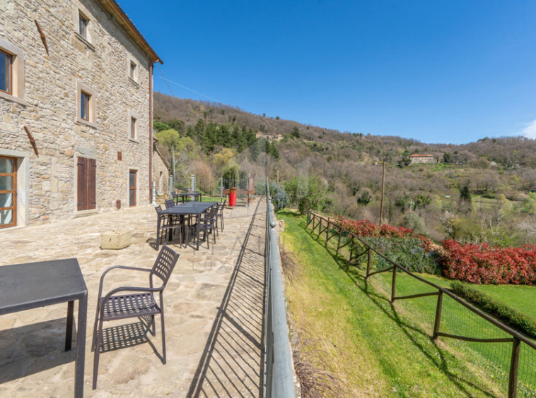 Estate Cortona Tuscany Italy Vineyards