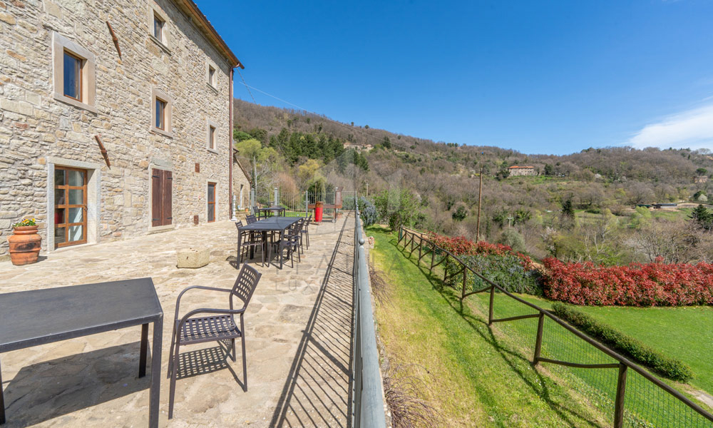 Estate Cortona Tuscany Italy Vineyards