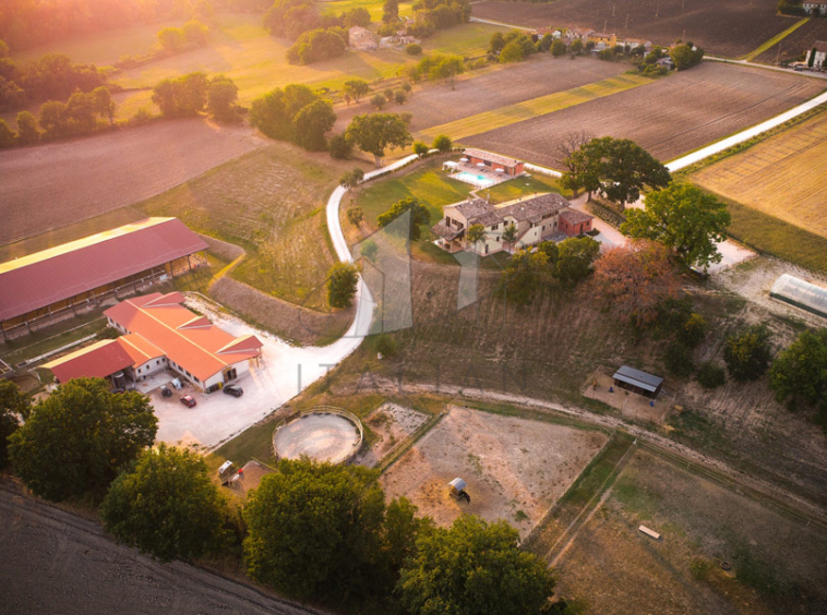 Agriturismo San Lorenzo in Campo Marche Italy Riding Stables