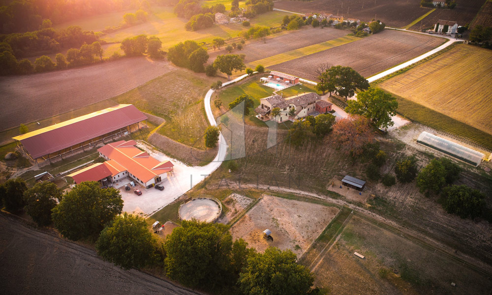 Agriturismo San Lorenzo in Campo Marche Italy Riding Stables