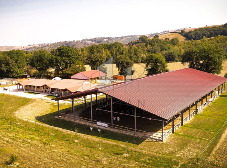 Agriturismo San Lorenzo in Campo Marche Italy Riding Stables