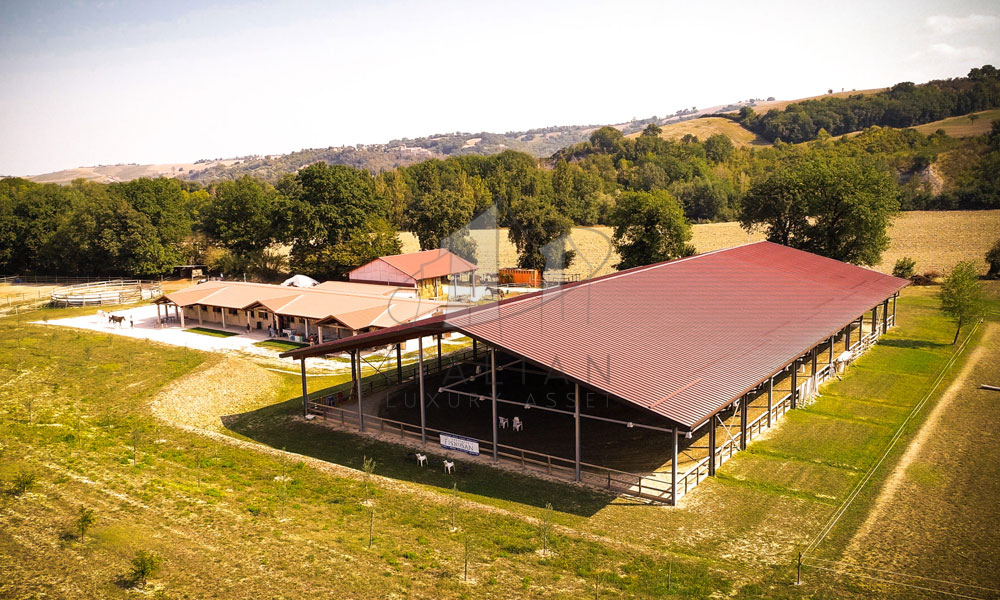 Agriturismo San Lorenzo in Campo Marche Italy Riding Stables