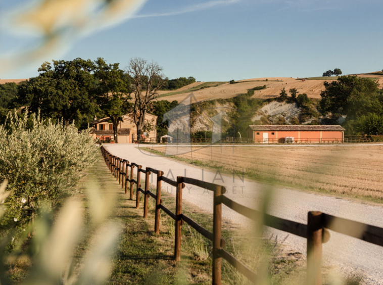 Agriturismo San Lorenzo in Campo Marche Italy Riding Stables