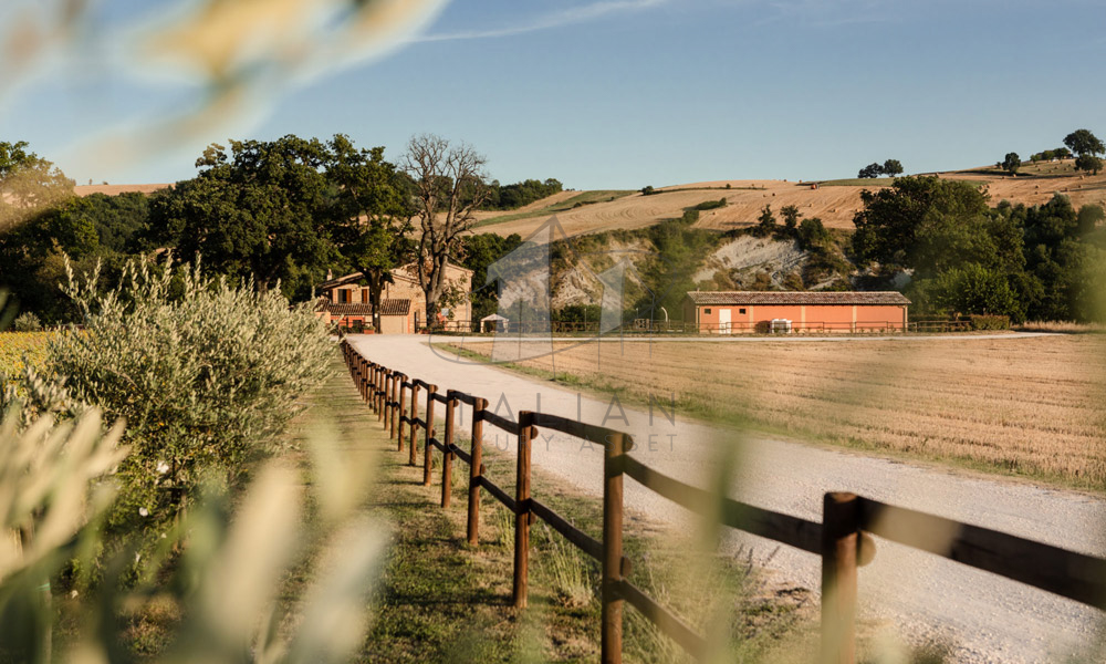 Agriturismo San Lorenzo in Campo Marche Italy Riding Stables