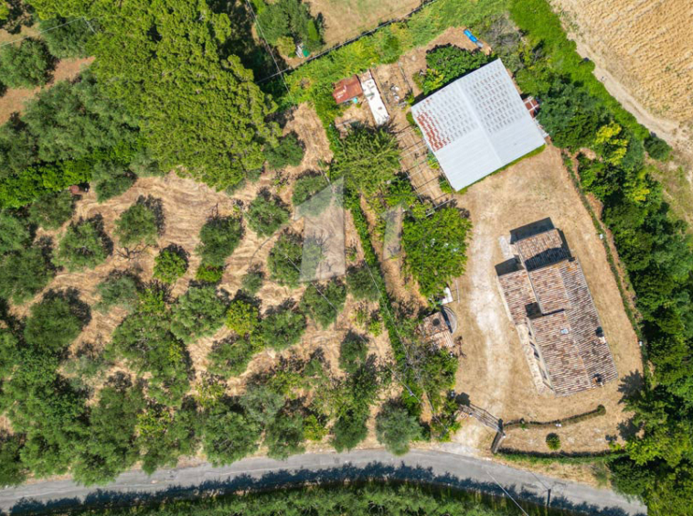 Farmhouse Montelupone Macerata Marche Italy Panorama