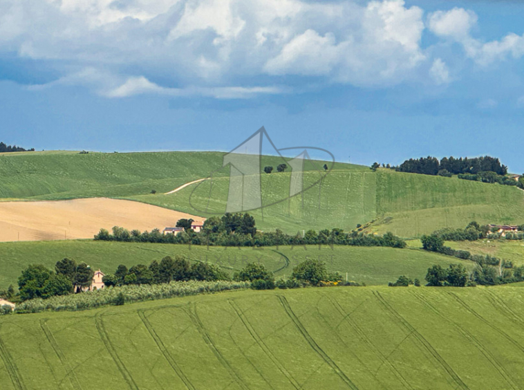 Ancona Marche Barbara Farmhouse Luxury