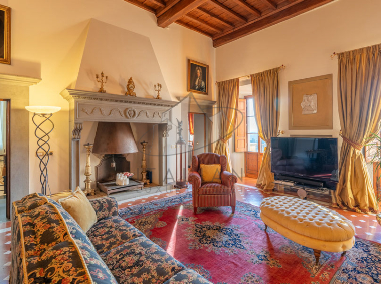 Historic Villa Chianti Vineyard Florence Tuscany Italy