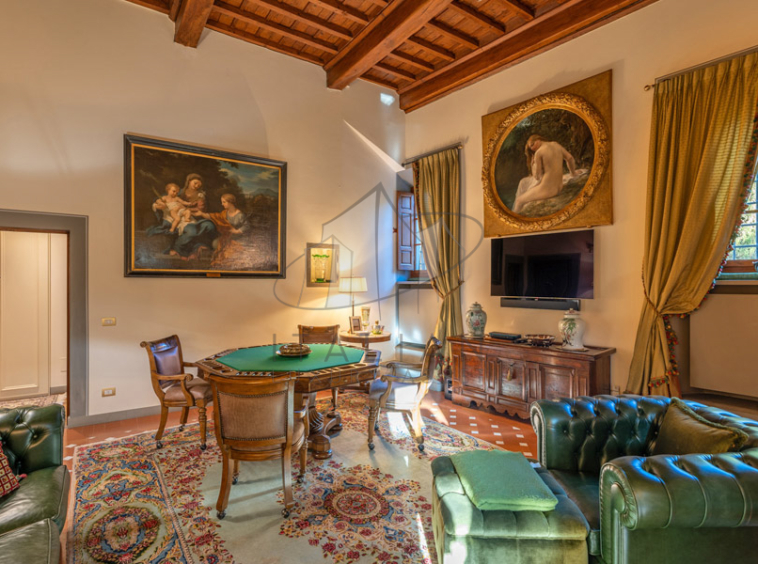 Historic Villa Chianti Vineyard Florence Tuscany Italy