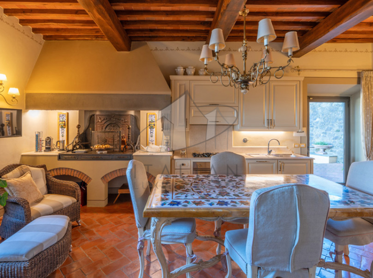 Historic Villa Chianti Vineyard Florence Tuscany Italy